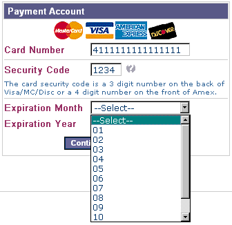 Entering the Credit Card Payment Information